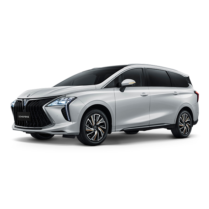 DONGFENG FORTHING U-TOUR